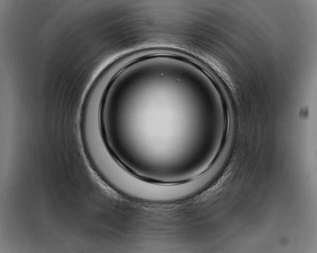 X0000098100942200804041240