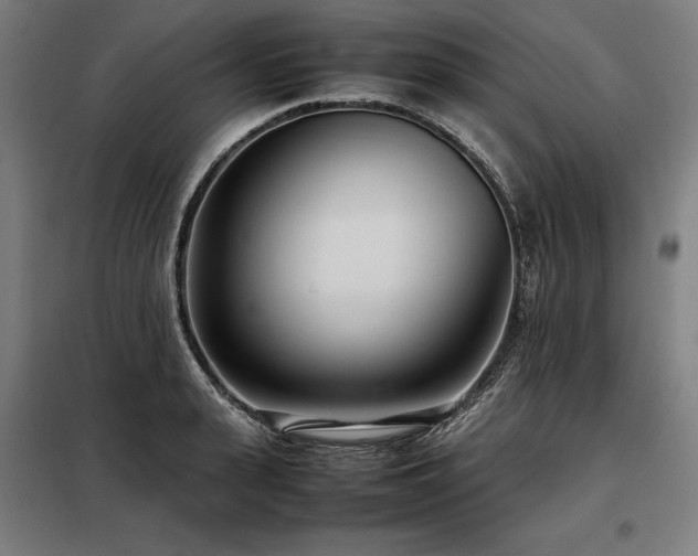 X0000098100943200804041240