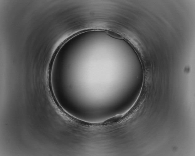 X0000098100944200804041240