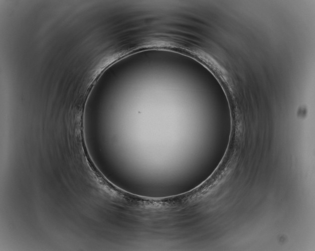 X0000098100945200804041240