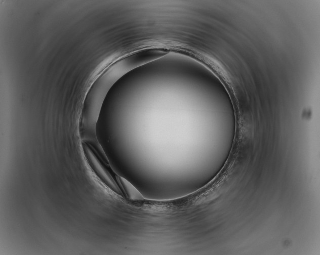 X0000098100946200804041240