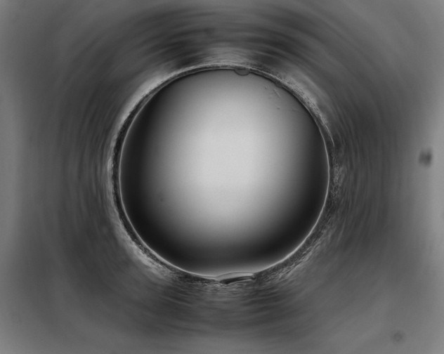 X0000098100947200804041240
