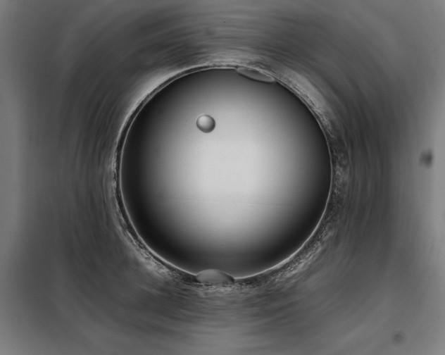 X0000098100948200804041240