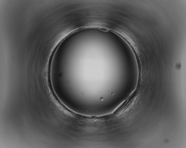 X0000098100949200804041240