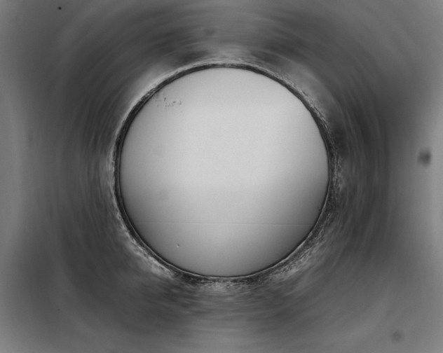 X0000098100950200804041240