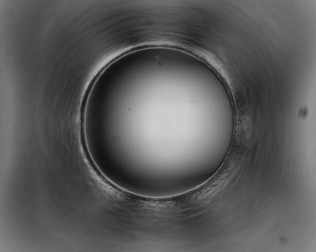 X0000098100951200804041241
