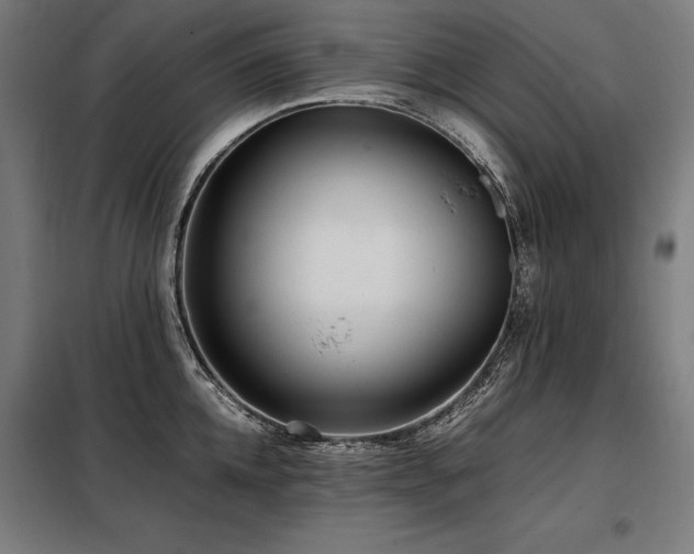 X0000098100952200804041241