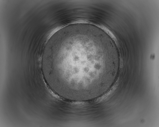 X0000098100953200804041241