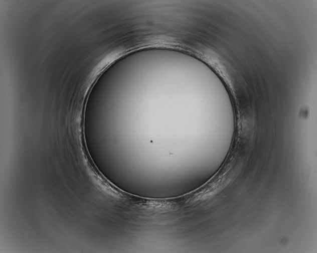 X0000098100954200804041241