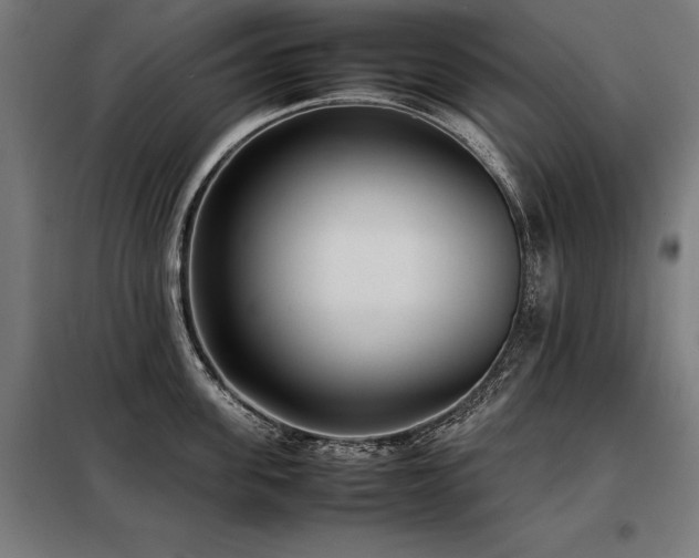 X0000098100955200804041241