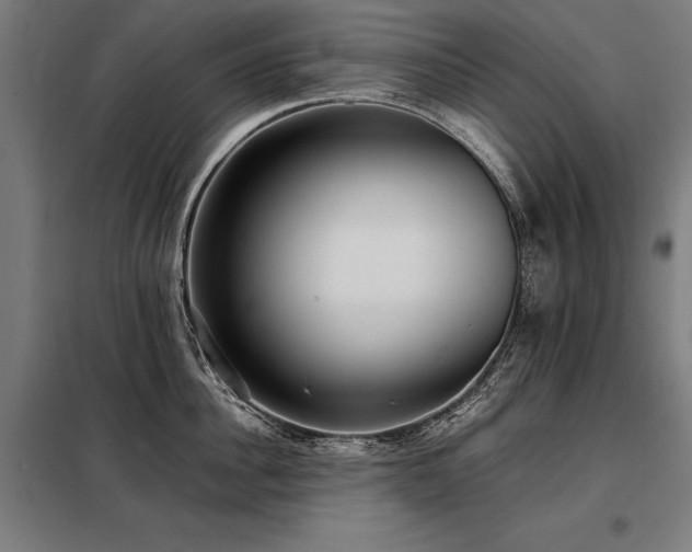 X0000098100956200804041241