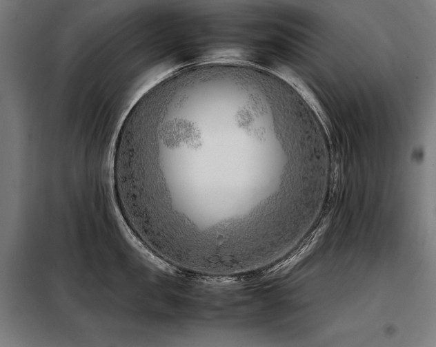 X0000098100957200804041241