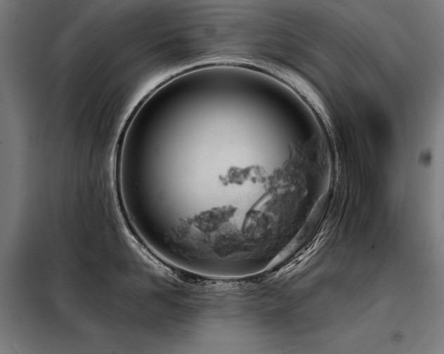 X0000098100958200804041241