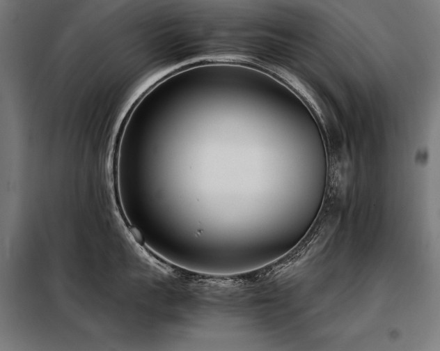X0000098100959200804041241