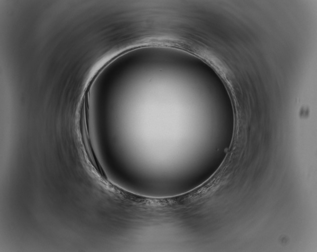 X0000098100960200804041241