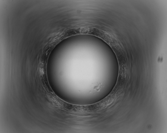 X0000098100962200804041240
