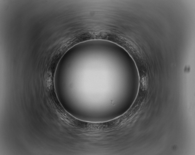 X0000098100963200804041240