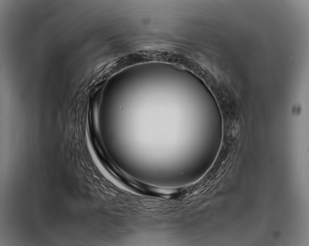 X0000098100965200804041240