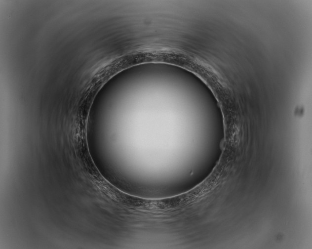 X0000098100966200804041240
