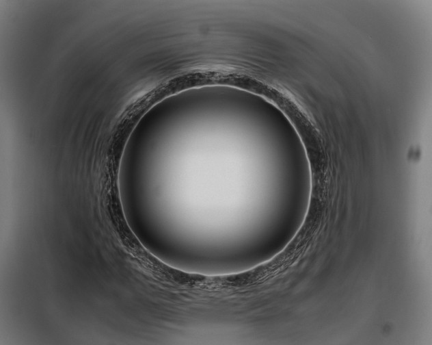 X0000098100967200804041240