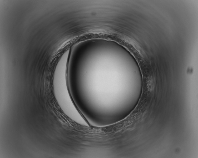 X0000098100968200804041240