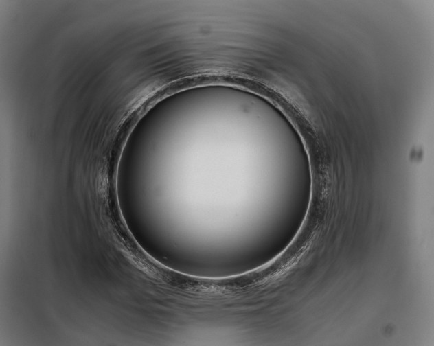X0000098100969200804041240