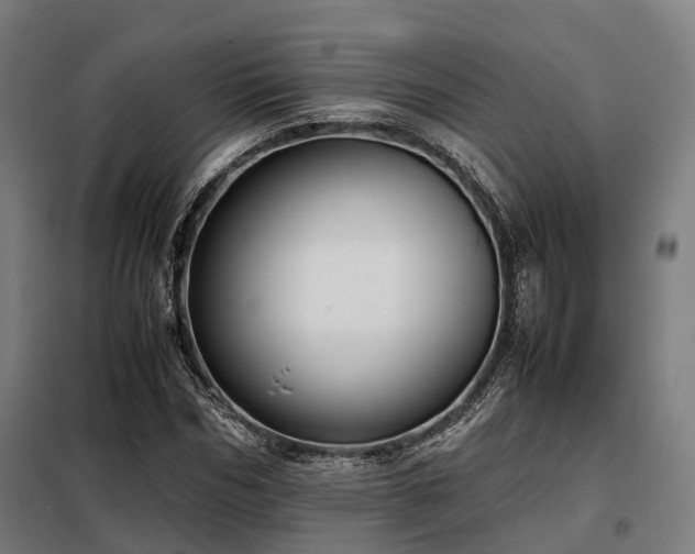 X0000098100970200804041240