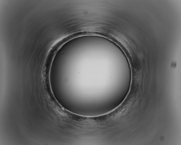 X0000098100971200804041240