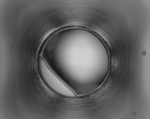 X0000098100972200804041240