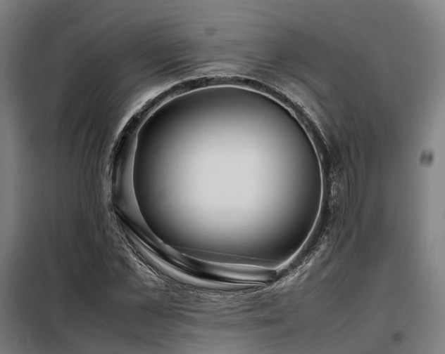 X0000098100973200804041240