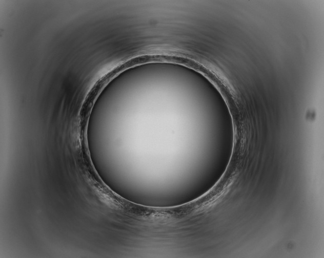 X0000098100974200804041240