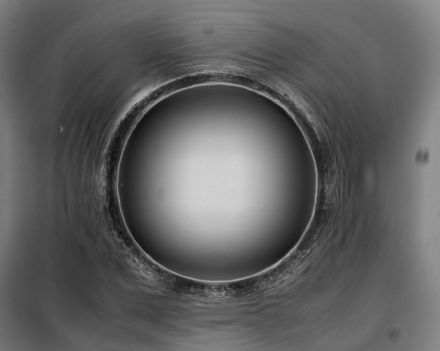 X0000098100975200804041240
