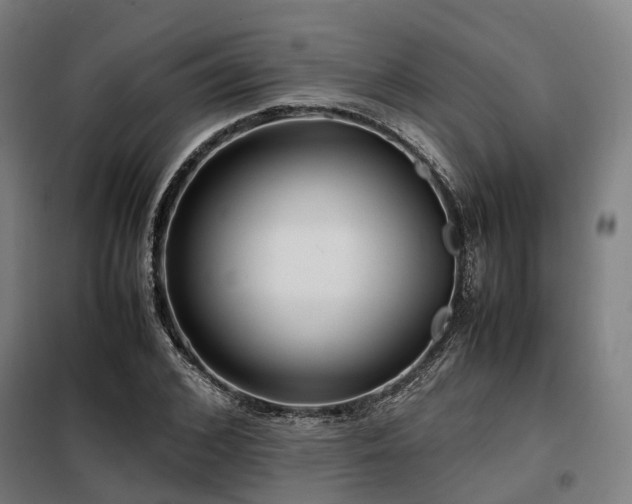 X0000098100976200804041240