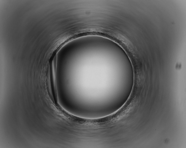 X0000098100977200804041240