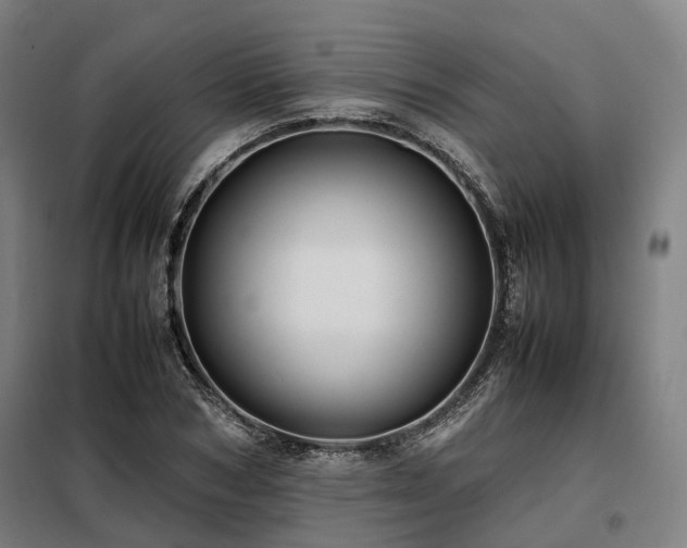 X0000098100978200804041240