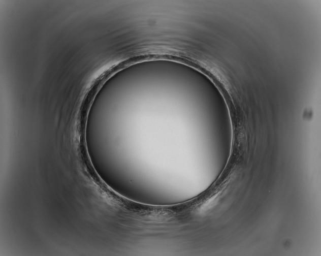 X0000098100979200804041240