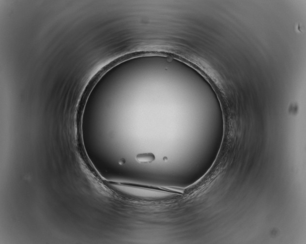 X0000098100980200804041240
