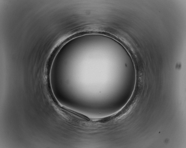 X0000098100981200804041240