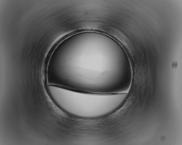 X0000098100984200804041239