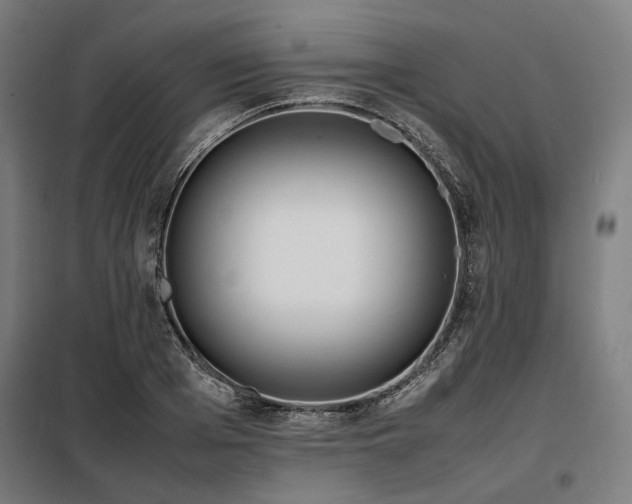X0000098100985200804041239