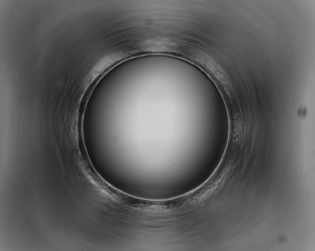 X0000098100986200804041239
