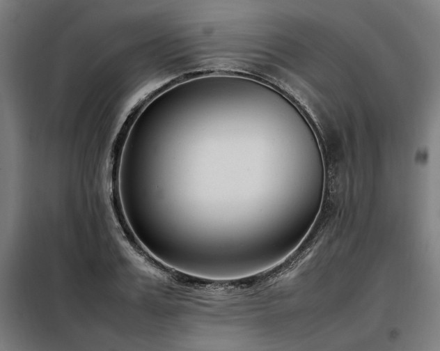 X0000098100987200804041239