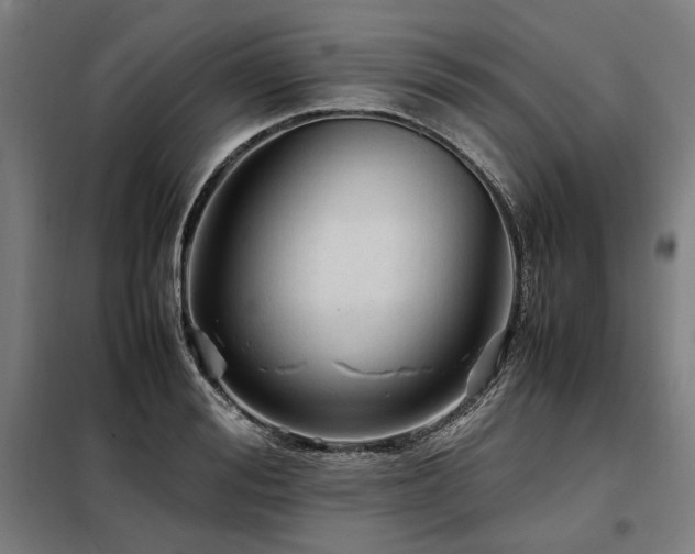 X0000098100988200804041239