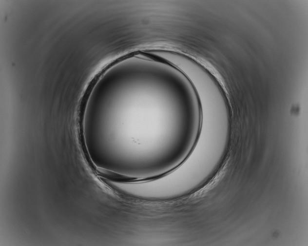 X0000098100989200804041239