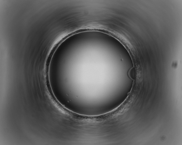 X0000098100990200804041239