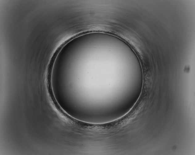 X0000098100991200804041239