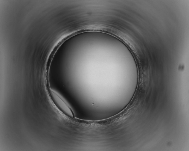 X0000098100992200804041239