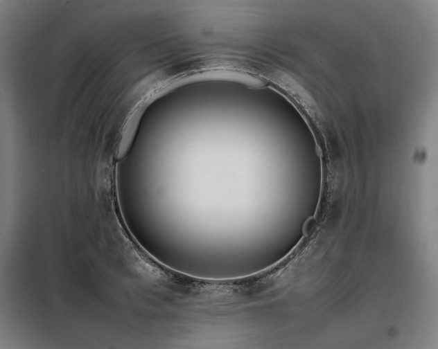 X0000098100993200804041239