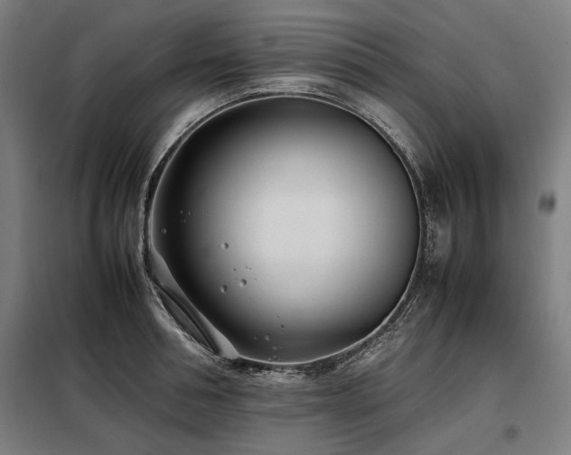 X0000098100994200804041239