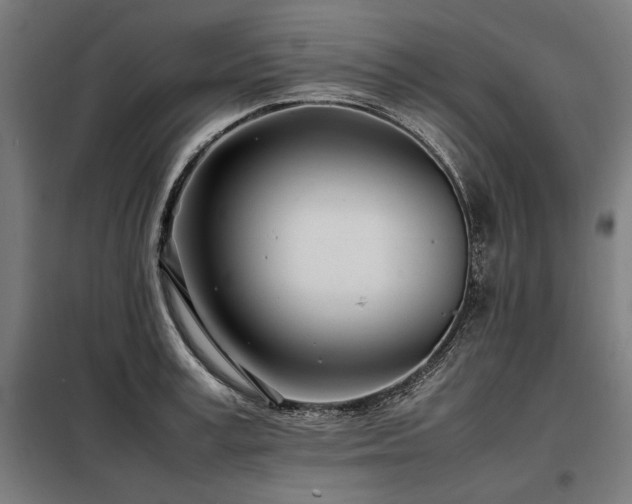X0000098100995200804041239